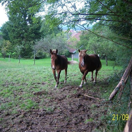 2 Chambres D'Hotes Privees Louees Separement Avec Communs A Partager Beaufort  Kültér fotó