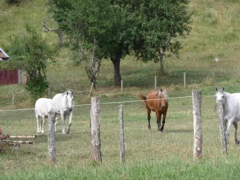 2 Chambres D'Hotes Privees Louees Separement Avec Communs A Partager Beaufort  Kültér fotó